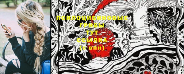 круглые Осташков