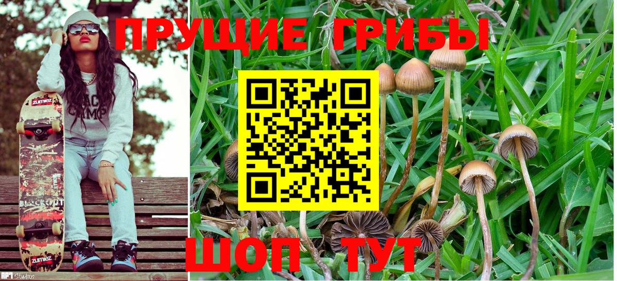 закладка  Вход с VPN  Балашов  Галлюциногенные грибы GOLDEN TEACHER 