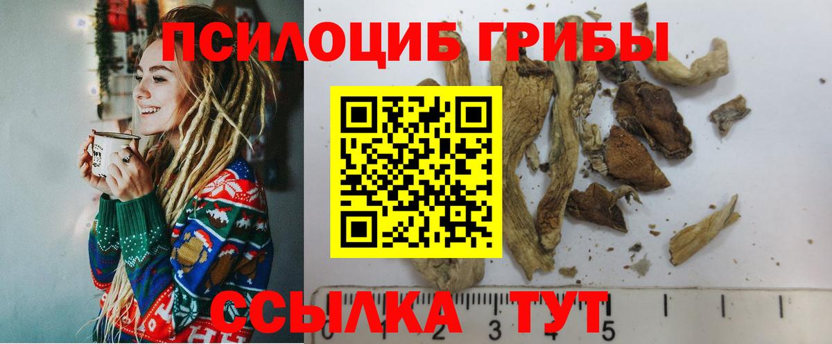 Псилоцибиновые грибы Magic Shrooms Балашов